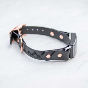 Fi-Compatible Adventure Buckle Collar (1") - with backing