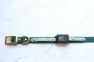 Fi-Compatible Adventure Buckle Collar: Layered Style (1")