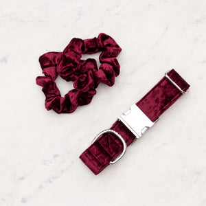 Burgundy Velvet Handmade Dog Collar