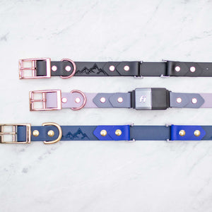 Fi-Compatible Adventure Buckle Collar (1") - with backing
