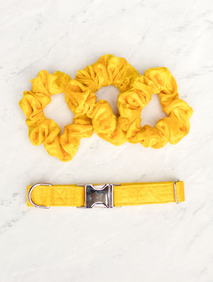 Marigold Velvet Handmade Dog Collar