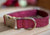 Pink Valentine's Sparkle Dog Collar