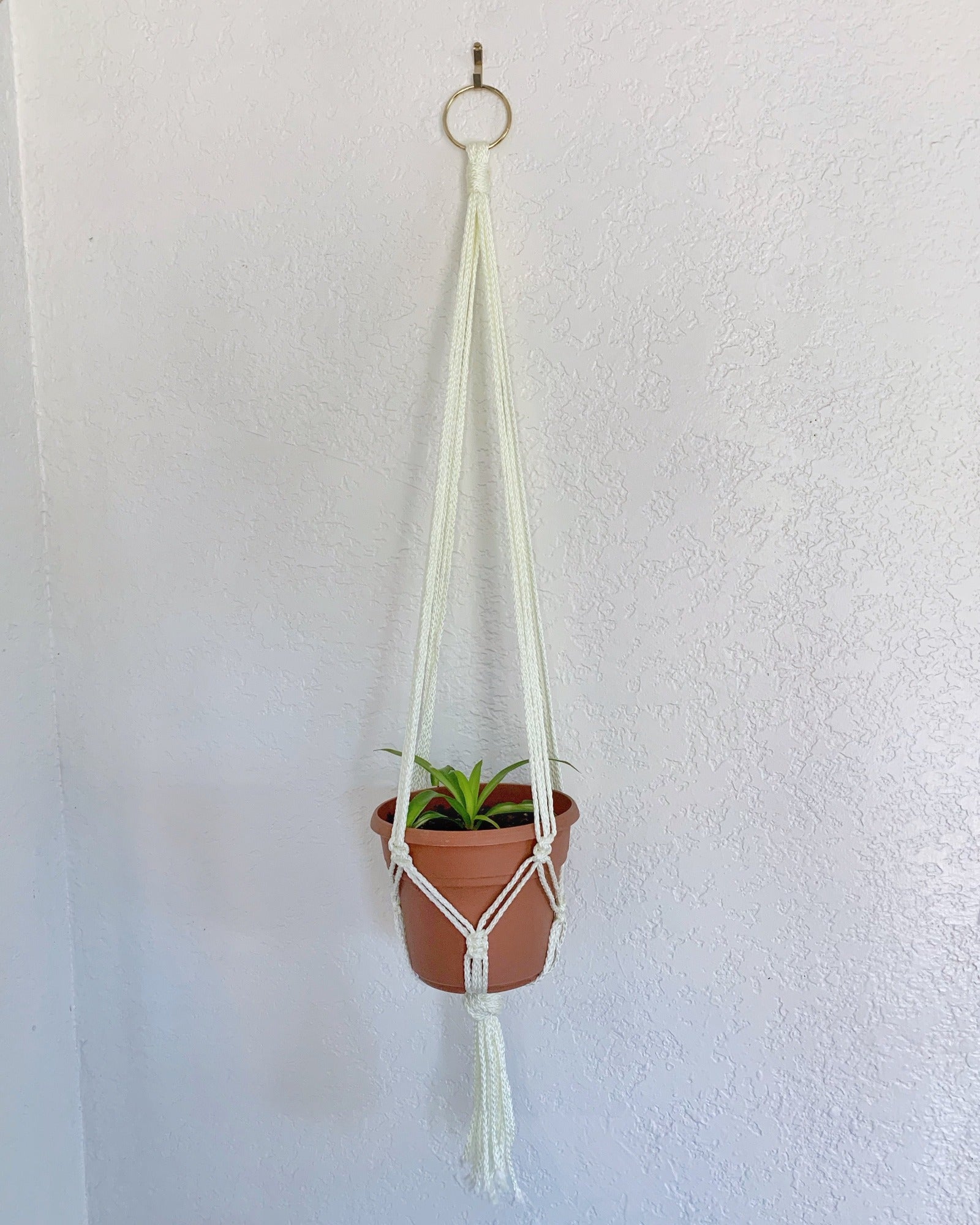 Macrame Plant Hanger: Simple Design